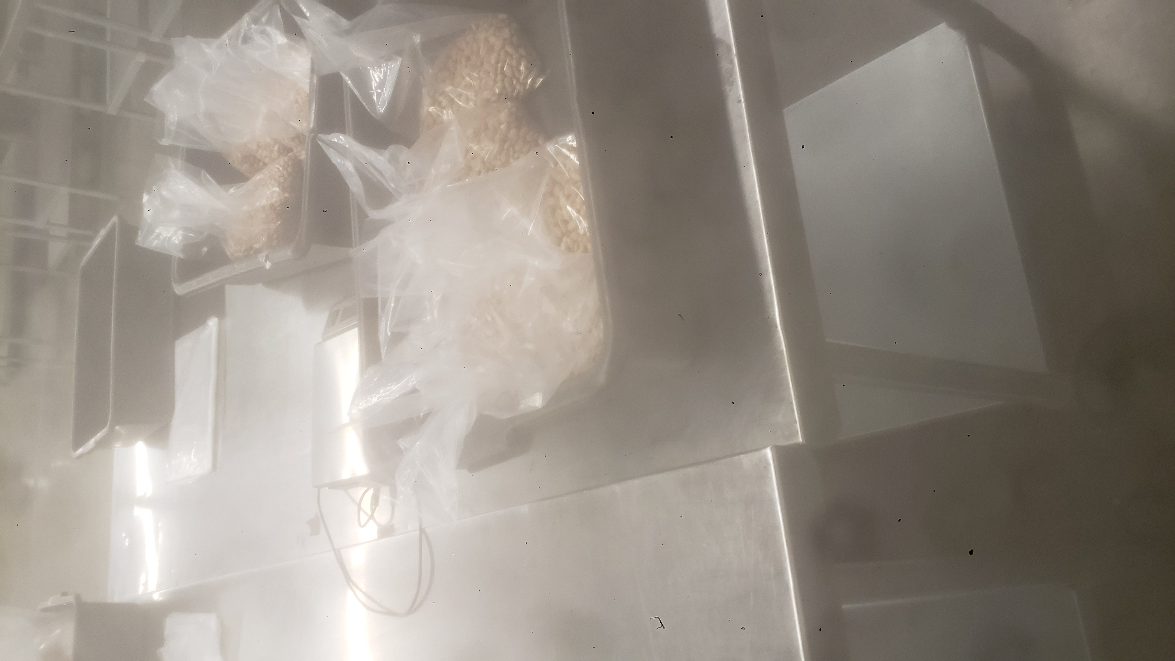Tubs of bags of pinto beans next to a weight scale